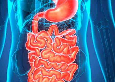 Radiografías con contraste de abdomen